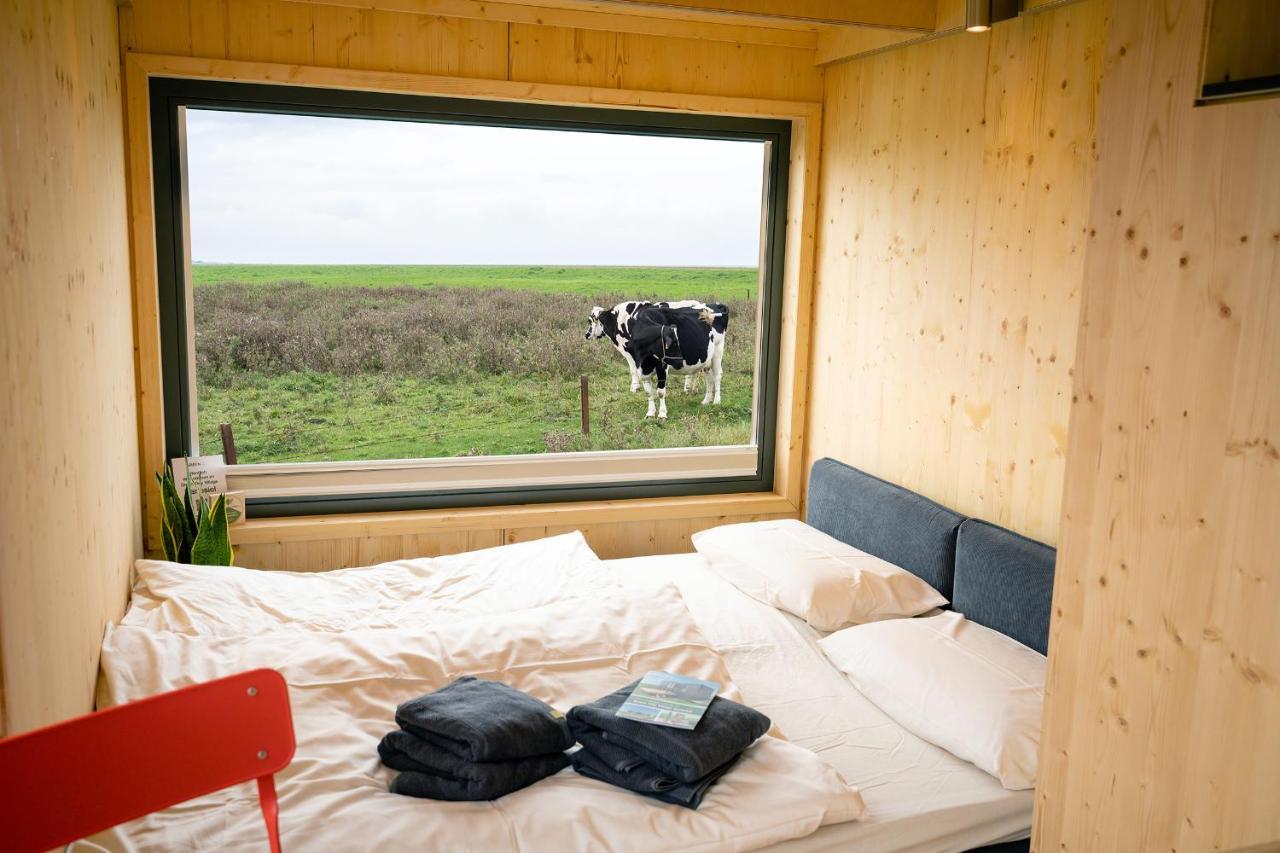 Tiny House Nature 9 Zur Kuhweide - Green Tiny Village Harlesiel Carolinensiel Buitenkant foto